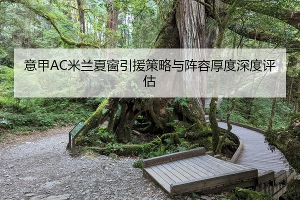 意甲AC米兰夏窗引援策略与阵容厚度深度评估
