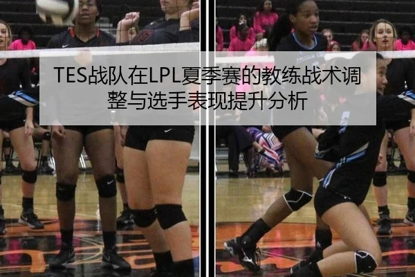 TES战队在LPL夏季赛的教练战术调整与选手表现提升分析