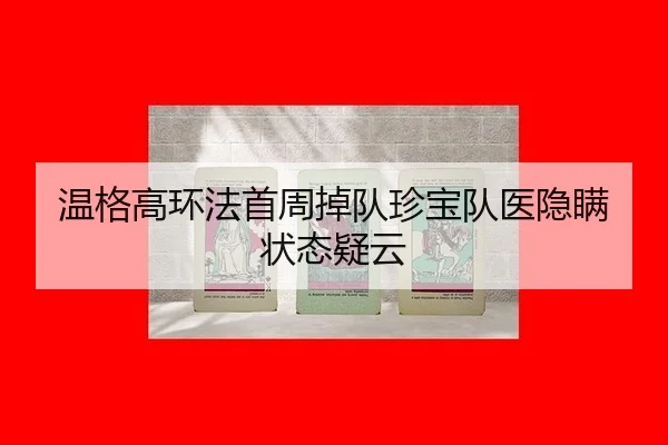 wen-ge-gao-huan-fa-shou-zhou-diao-dui-zhen-bao-dui-yi-yin-man-zhuang-tai-yi-yun-2-825.jpg