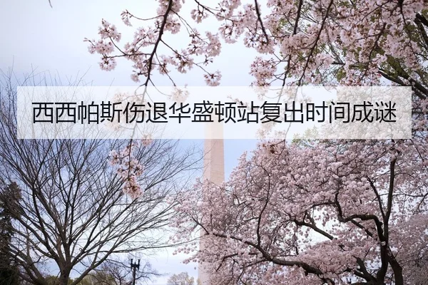 西西帕斯伤退华盛顿站复出时间成谜